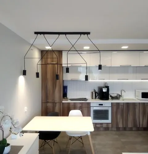 Family & Business Elegant Apartments Rynek Centrum Downtown - 2 Bedroom, Balcony, Parking