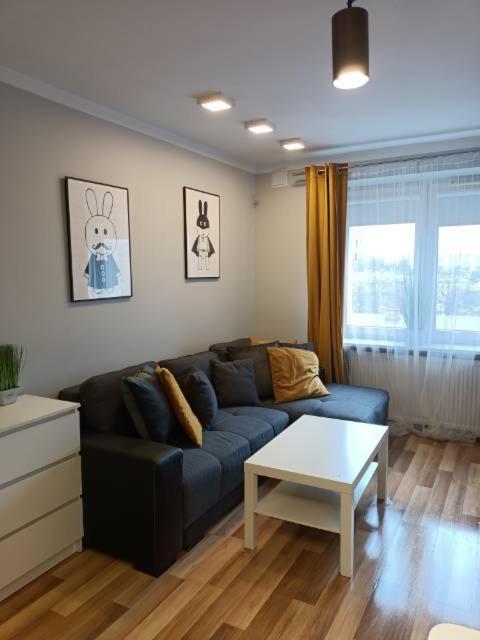Family & Business Elegant Rynek Centrum Downtown - 2 Bedroom, Balcony, Parking * Kielce