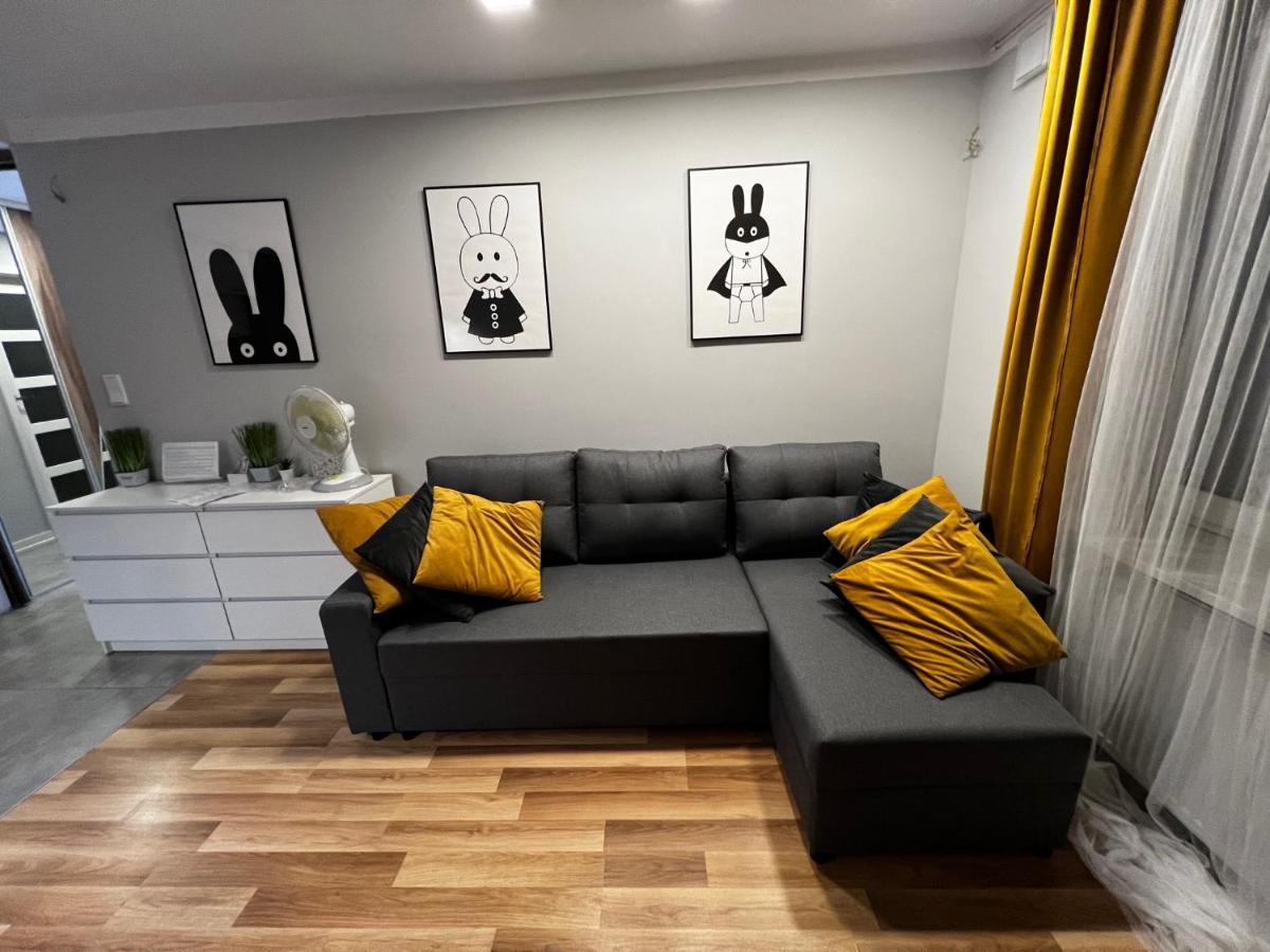 Family & Business Elegant Rynek Centrum Downtown - 2 Bedroom, Balcony, Parking Apartment Kielce