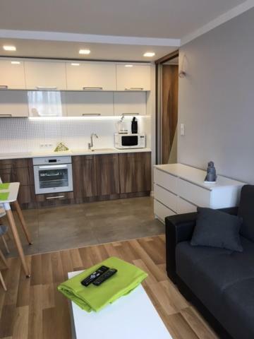 Family & Business Elegant Rynek Centrum Downtown - 2 Bedroom, Balcony, Parking Apartment